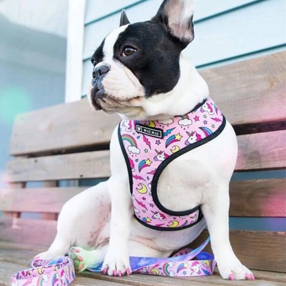 Cute Dog Harness for Medium Small Dogs No Pull Dog Vest Harness Pet Product Leash for Dogs Accessories French Bulldog Pug