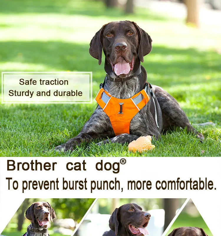 Reflective Pet Dog Harness Accessories Dogs Training Vest for Pet Big Dogs Adjustable Outdoor Harness Service Dog Ves Padded New