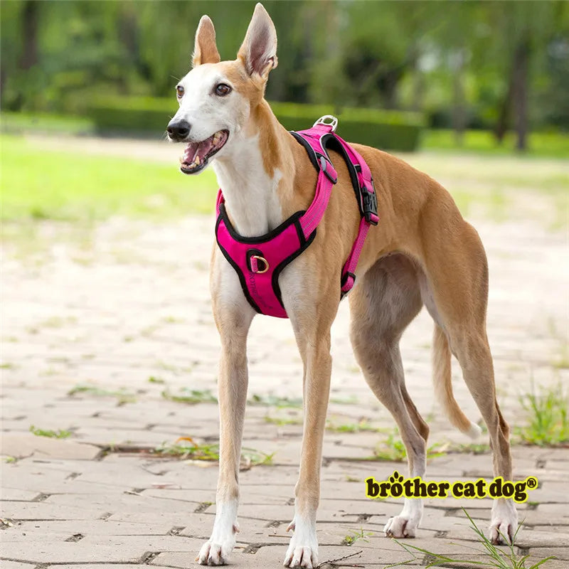 Reflective Pet Dog Harness Accessories Dogs Training Vest for Pet Big Dogs Adjustable Outdoor Harness Service Dog Ves Padded New