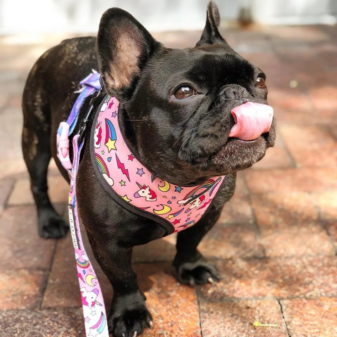 Cute Dog Harness for Medium Small Dogs No Pull Dog Vest Harness Pet Product Leash for Dogs Accessories French Bulldog Pug