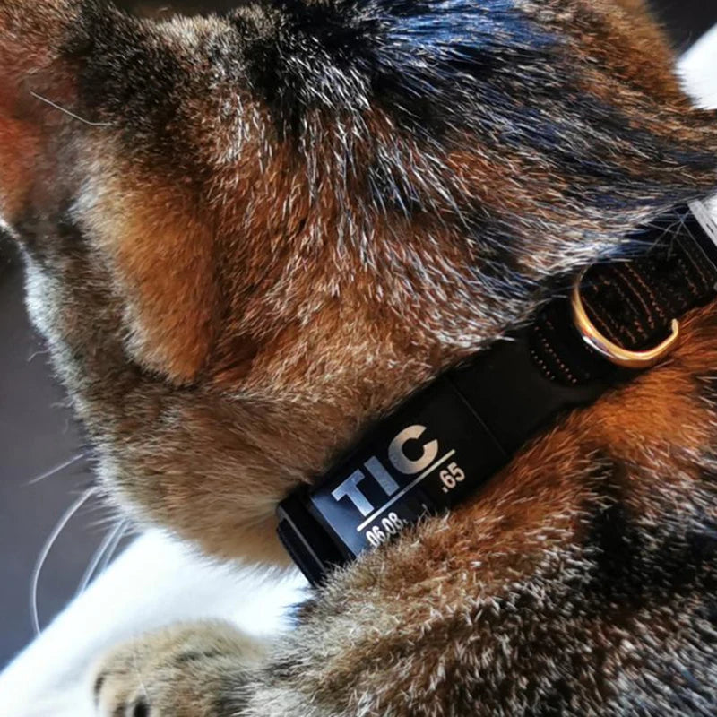 1pcs cat dog ID tag Free engraving Collar pet Charm Pet name Necklace Collar Puppy accessory