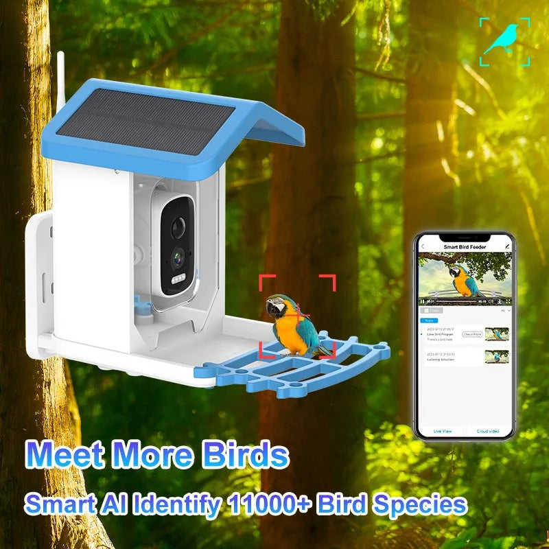 Bird Smart Feeder with 2.5K HD Camera Solar Low Power Night Vision IP66 Waterproof 4G or WIFI Connect Real Bird Species Feeder