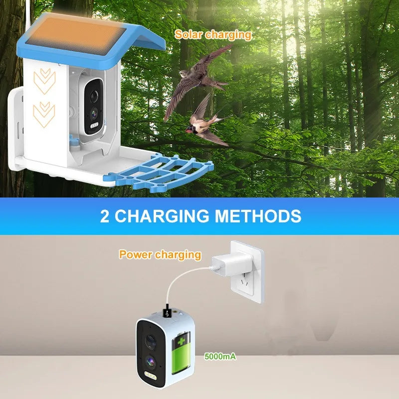 Bird Smart Feeder with 2.5K HD Camera Solar Low Power Night Vision IP66 Waterproof 4G or WIFI Connect Real Bird Species Feeder