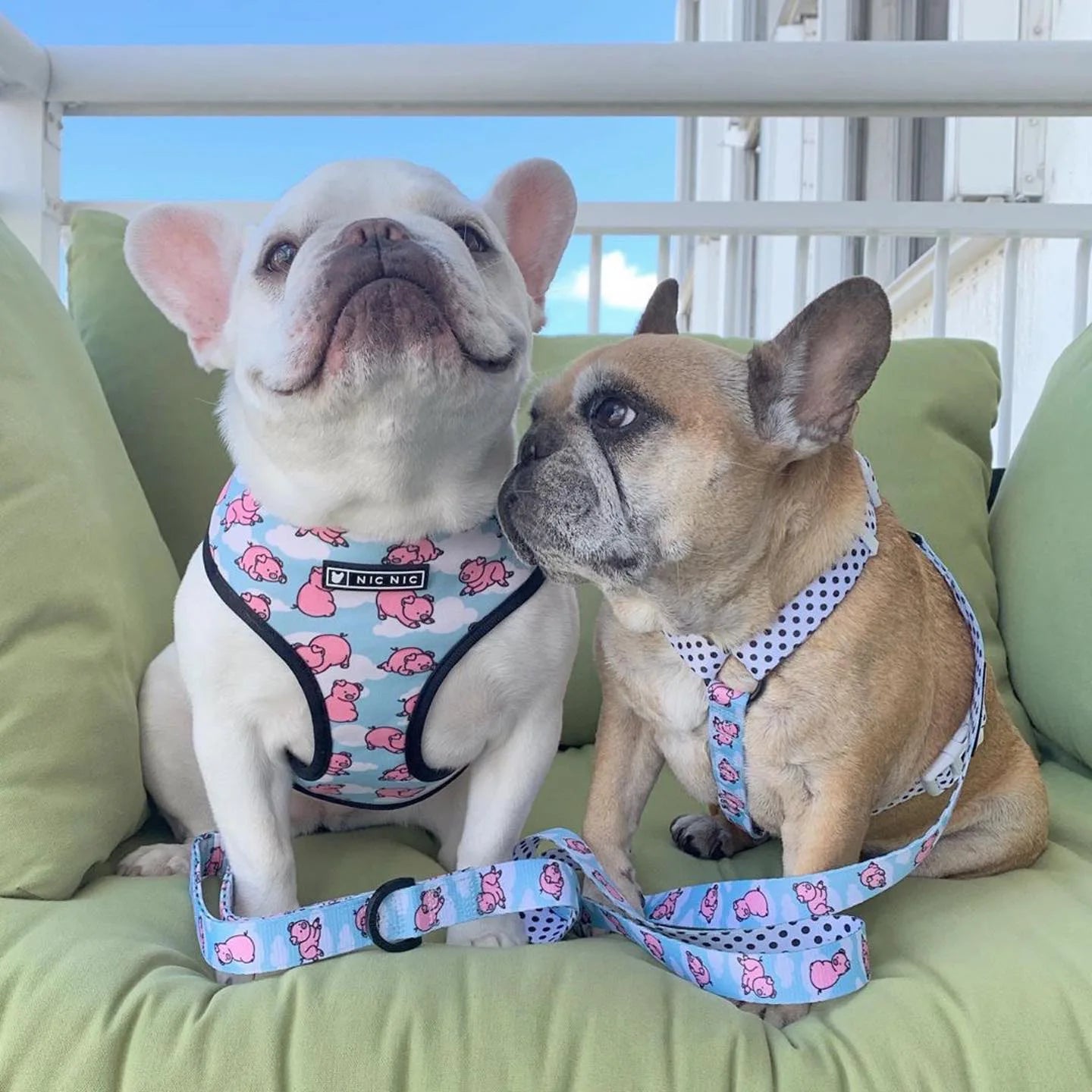 Cute Dog Harness for Medium Small Dogs No Pull Dog Vest Harness Pet Product Leash for Dogs Accessories French Bulldog Pug