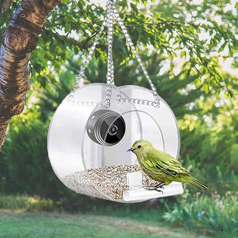 Bird House Camera Clear Window Bird Feeder With Suction Cups 720P HD Visual Storage Feeders Night Video Camera Heavy Duty Base